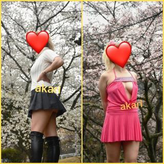 akari.JPG