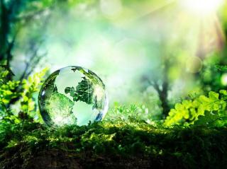 istockphoto-473454180-612x612.jpg