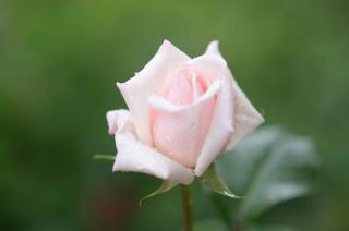 IMG_4166.JPG